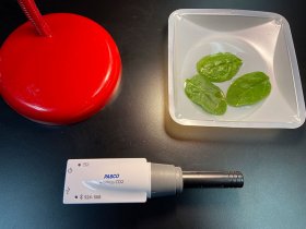 A Biology Teacher’s Take on Photosynthesis with the Wireless Carbon Dioxide Sensor