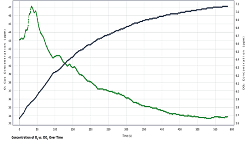 Capstone measurement graph