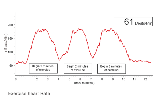 Wireless Exercise Heart Rate Sensor