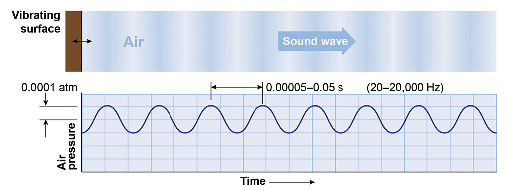 Direction of Sound Waves