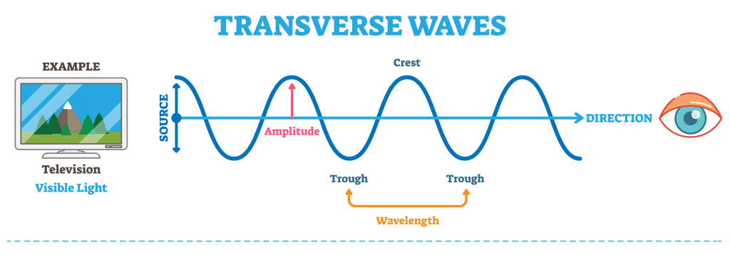 Transverse Waves